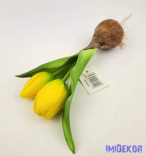 Hagymás gumi tulipán 2 bimbós fejű 24/18 cm - Sárga