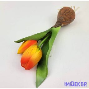 Hagymás gumi tulipán 2 bimbós fejű 24/18 cm - Narancs
