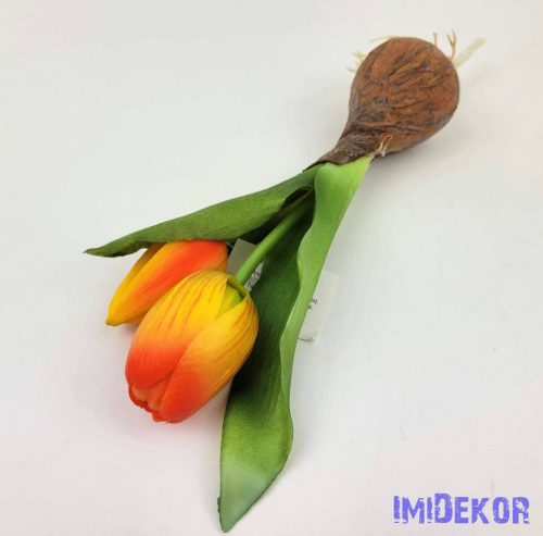 Hagymás gumi tulipán 2 bimbós fejű 24/18 cm - Narancs