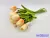 Tulipán 10 szálas gumi köteg 34 cm - Krém-Narancs