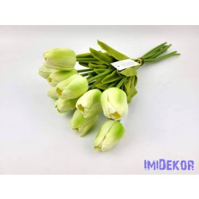 Tulipán 10 szálas gumi köteg 34 cm - Zöldes