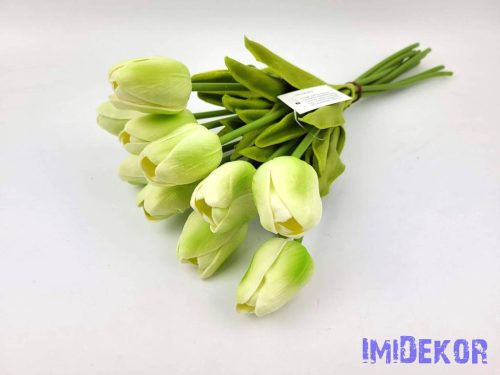 Tulipán 10 szálas gumi köteg 34 cm - Zöldes