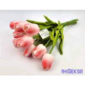 Tulipán 10 szálas gumi köteg 34 cm - Piruló Fehér