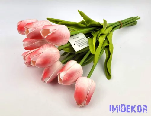 Tulipán 10 szálas gumi köteg 34 cm - Piruló Fehér