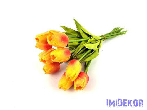 Tulipán 10 szálas gumi köteg 34 cm - Világos Narancs