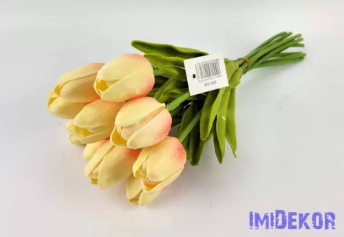 Tulipán 10 szálas gumi köteg 34 cm - Krém-Barack
