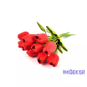 Tulipán 10 szálas gumi köteg 34 cm - Piros