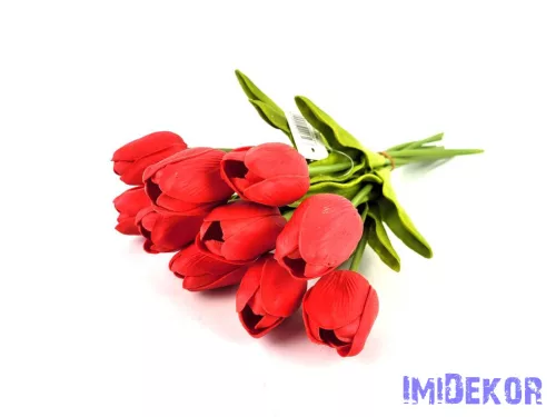 Tulipán 10 szálas gumi köteg 34 cm - Piros