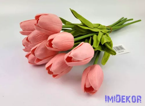 Tulipán 10 szálas gumi köteg 34 cm - Lazac