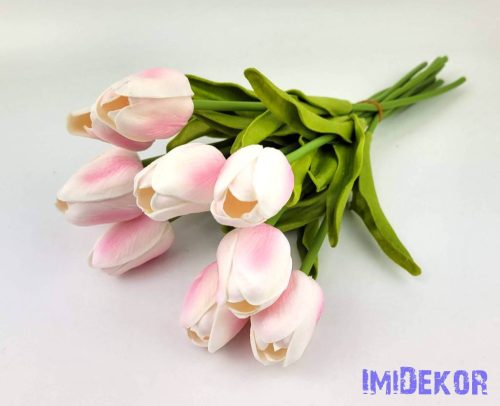 Tulipán 10 szálas gumi köteg 34 cm - Fehér-Babarózsaszín