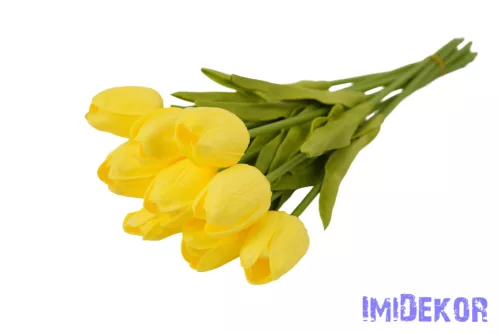 Tulipán 10 szálas gumi köteg 34 cm - Sárga
