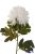 Dús fejű krizantém szálas selyemvirág 74cm - Fehér