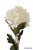 Dús fejű krizantém szálas selyemvirág 74cm - Krém