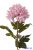 Dús fejű krizantém szálas selyemvirág 74cm - Rózsaszín