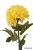 Dús fejű krizantém szálas selyemvirág 74cm - Sárga