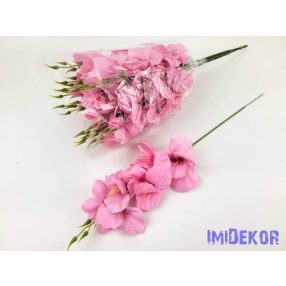 Szálas kardvirág 55 cm - Rózsaszín