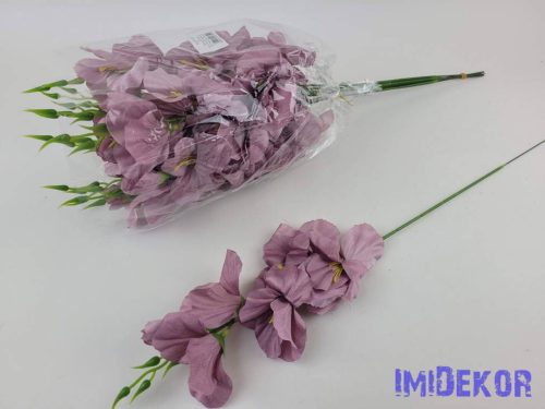 Szálas kardvirág 55 cm AUT - Mályva