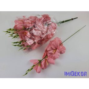 Szálas kardvirág 55 cm AUT - Fáradt Rózsaszín