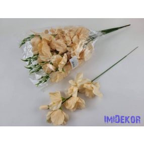 Szálas kardvirág 55 cm AUT - Barack