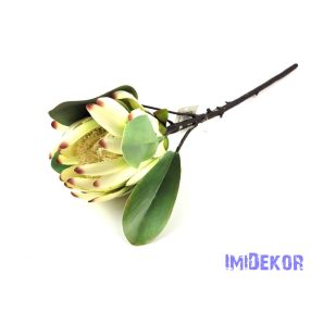 Protea ág 53 cm - Fehér