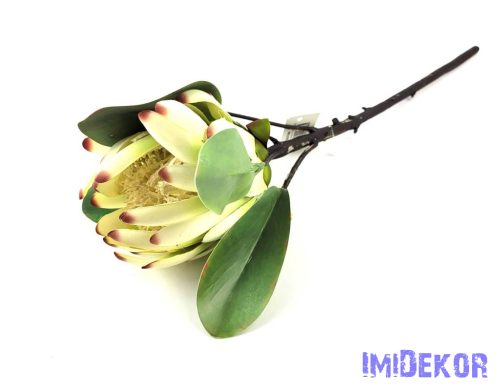 Protea ág 53 cm - Fehér