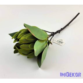 Protea ág 53 cm - Zöldes