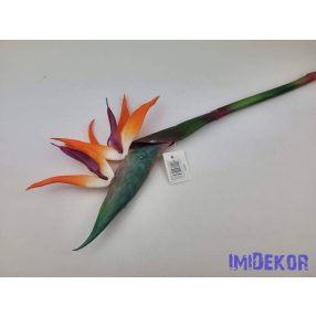 Strelitzia-Heliconia