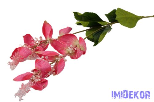 Medinilla virágos ág 110cm - Rózsaszín