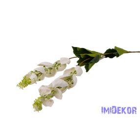 Medinilla (Mirtuszvirág)