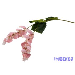 Medinilla virágos ág 110cm - Halvány Rózsaszín