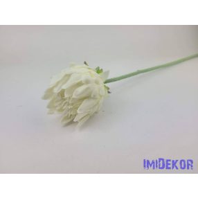 Deres protea ág 63cm - Fehér