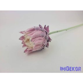 Deres protea ág 63cm - Mályva
