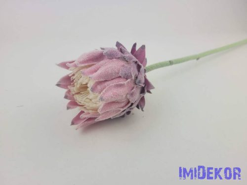 Deres protea ág 63cm - Mályva