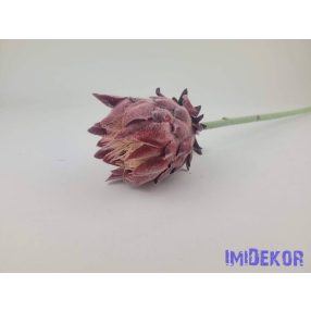 Deres protea ág 63cm - Bordó