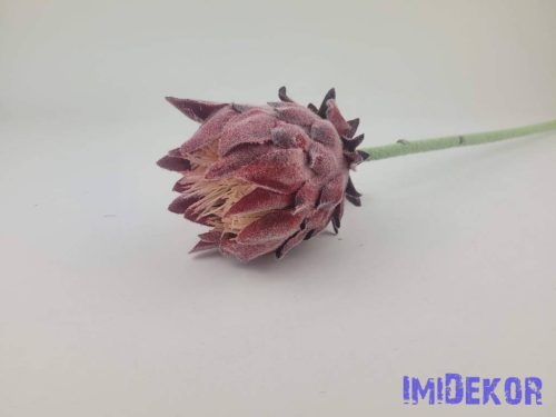 Deres protea ág 63cm - Bordó