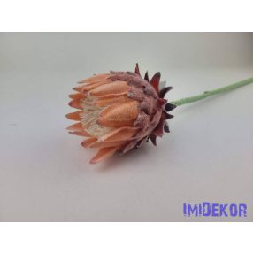 Protea