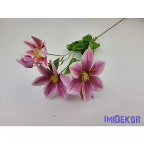 Klematisz 5v. ág 70cm - Mályvás