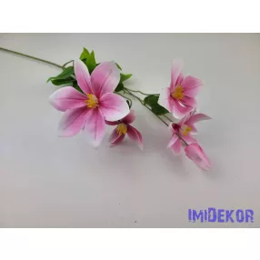 Klematisz 5v. ág 70cm - Rózsaszínes