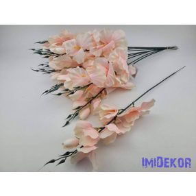 Szálas kardvirág 54 cm - Krém-Rózsaszín