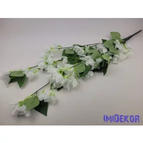 Bougainvillea / Murvafürt futó 77cm - Fehér