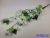 Bougainvillea / Murvafürt futó 77cm - Fehér