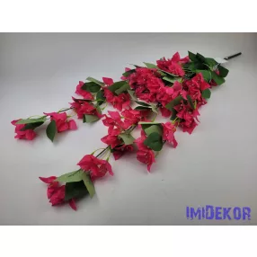 Bougainvillea / Murvafürt futó 77cm - Sötét Rózsaszín