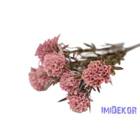 Tölcsérgumós 7 ágú bokor 34cm - Mályva