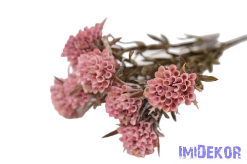 Tölcsérgumós 7 ágú bokor 34cm - Mályva