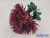 Pók krizantém 7 ágú selyem csokor 42cm - Bordó