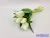 Élethű gumi tulipán 7 szálas mix köteg 29 cm - Zöldes Fehér