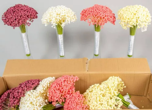 Gipszó rezgő csokor tömör 20 ágú szalaggal kötött művirág díszítő csokor 27 cm - Mix