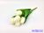 Tulipán 5 ágú gumis fejű csokor 29 cm - Törtfehér