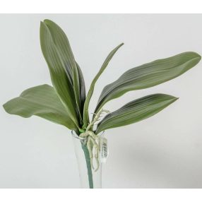 Orchidea 6 ágú levél gyökérrel élethű 25 cm