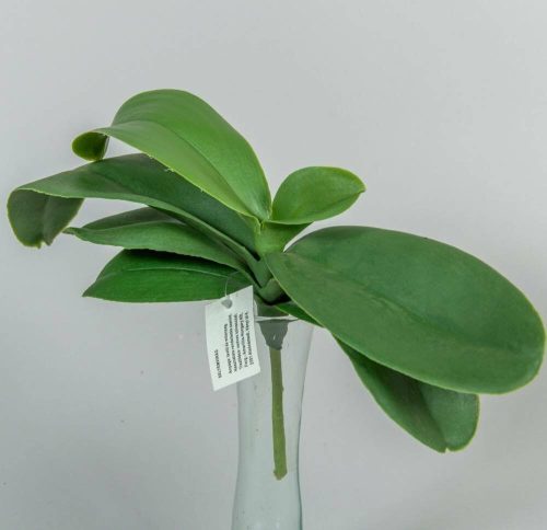 Orchidea 7 ágú élethű levél gyökérrel 18 cm